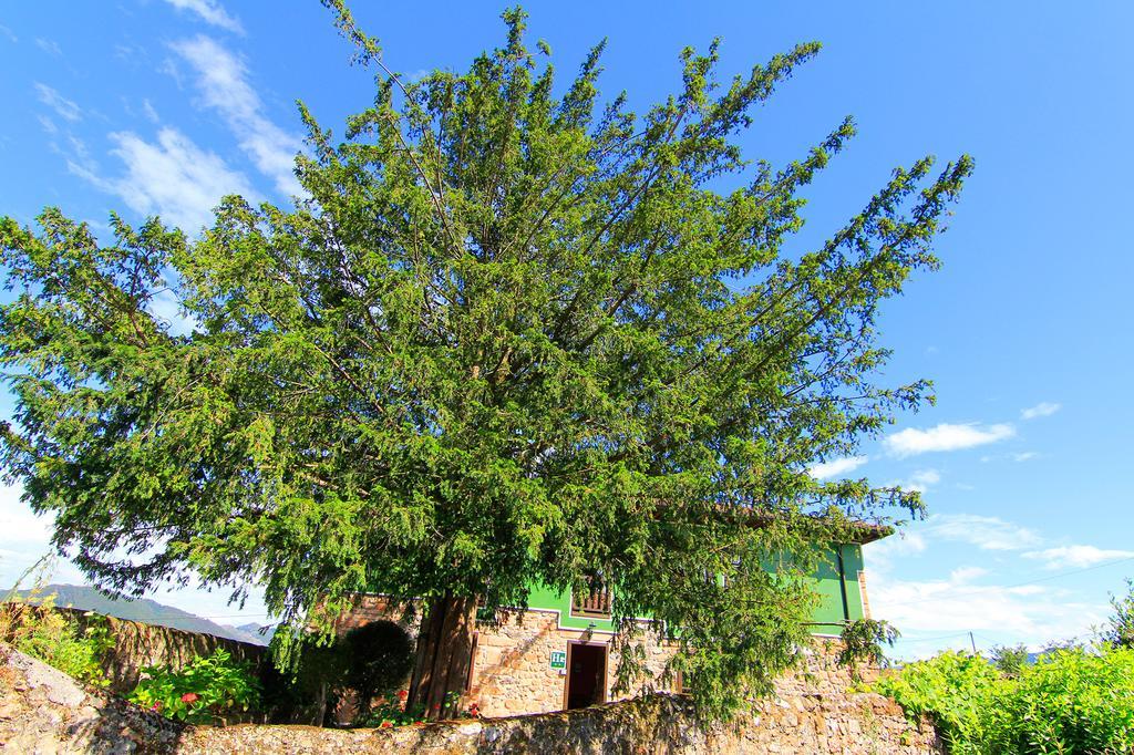 Hotel Rural Cuadroveña Extérieur photo